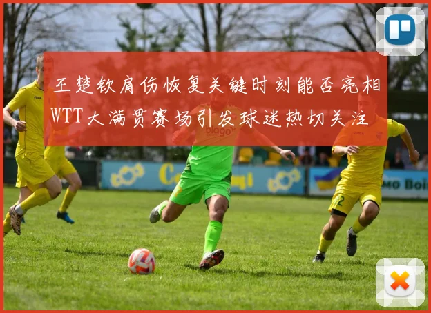 王楚钦肩伤恢复关键时刻能否亮相WTT大满贯赛场引发球迷热切关注