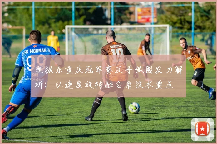 樊振东重庆冠军赛反手弧圈发力解析：以速度旋转融合看技术要点