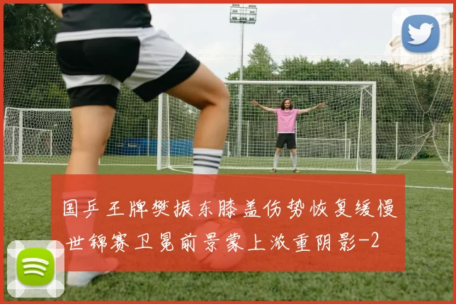 国乒王牌樊振东膝盖伤势恢复缓慢 世锦赛卫冕前景蒙上浓重阴影