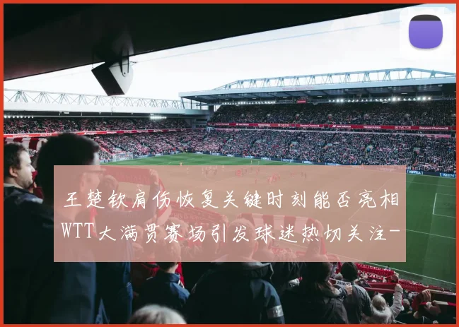 王楚钦肩伤恢复关键时刻能否亮相WTT大满贯赛场引发球迷热切关注