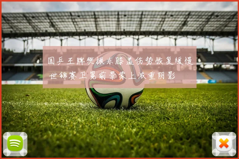 国乒王牌樊振东膝盖伤势恢复缓慢 世锦赛卫冕前景蒙上浓重阴影
